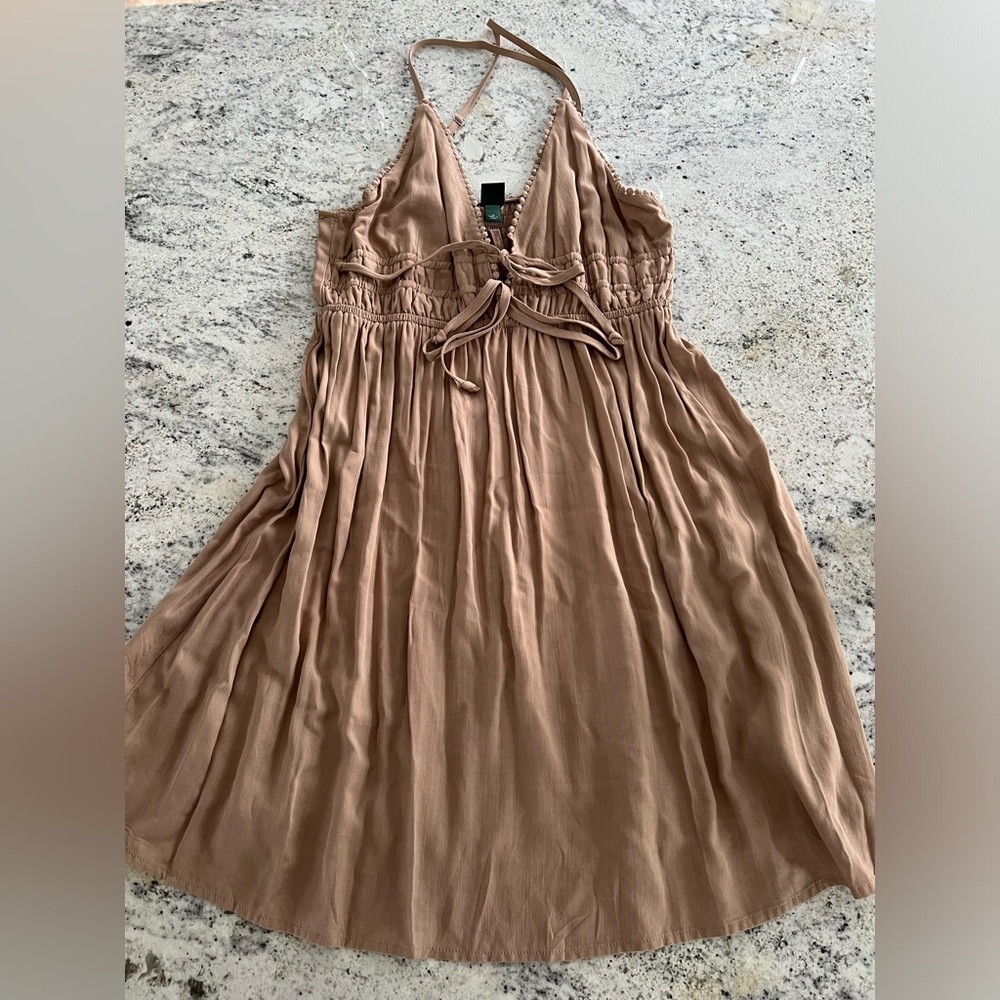 Brown Wild Fable dress